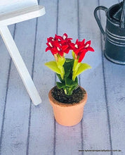 Pot Plant - Red Flowers - Miniature