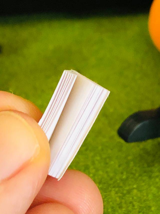 Dracula Book - Miniature