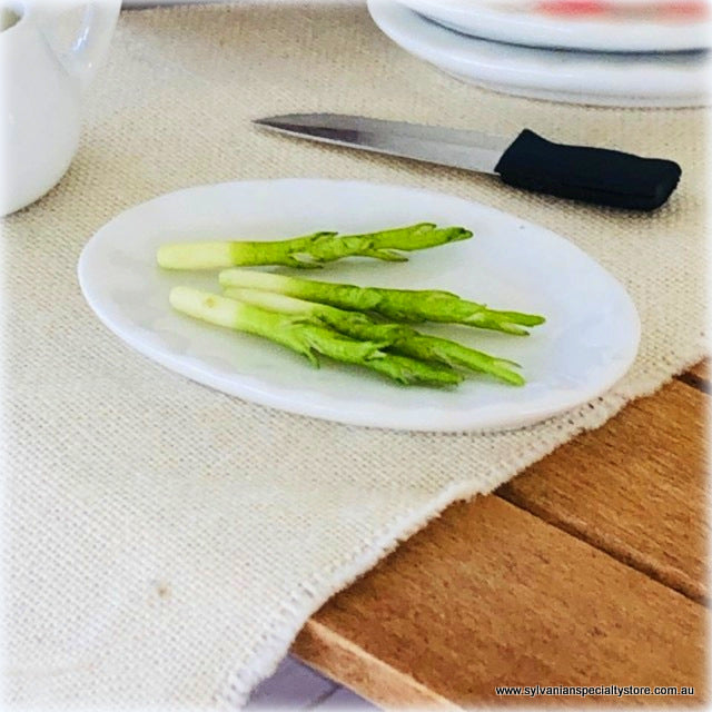 Asparagus x 4 - Miniature