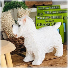 Dollhouse miniature Westie terrier standing