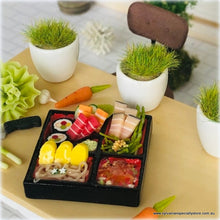 Dollhouse Miniature Japanese Bento food set