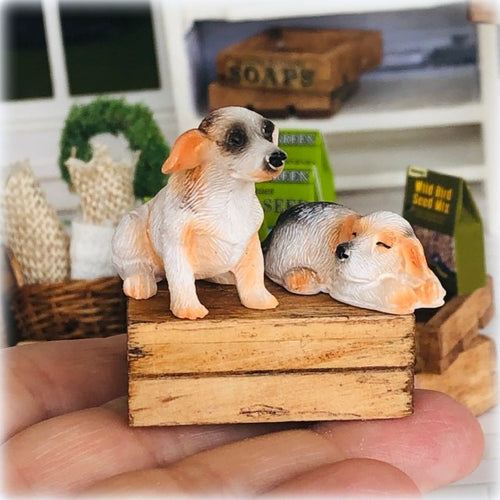Dollhouse Miniature pair of Jack Russell dogs
