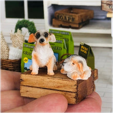 Dollhouse Miniature pair of Jack Russell dogs