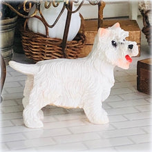 Standing West Highland Terrier - Miniature