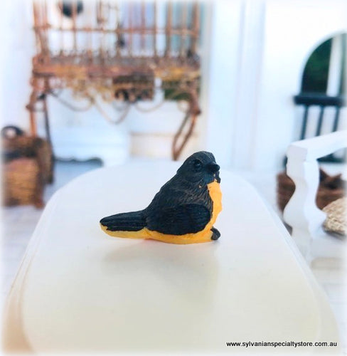 Dollhouse miniature bird pet shop
