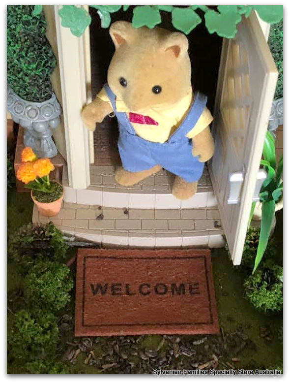 Welcome Doormat and plain coir mat
