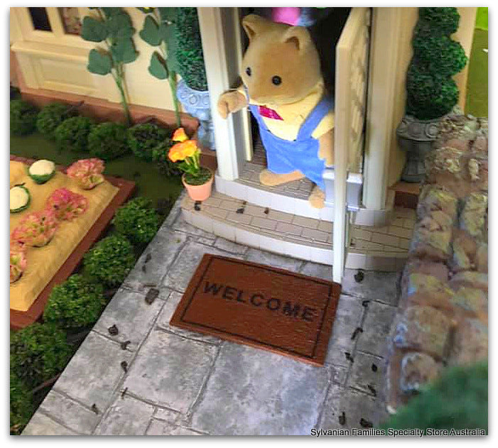 Welcome Doormat and plain coir mat
