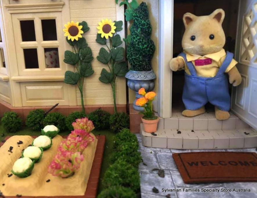 Welcome Doormat and plain coir mat