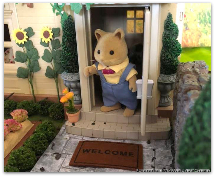 Welcome Doormat and plain coir mat