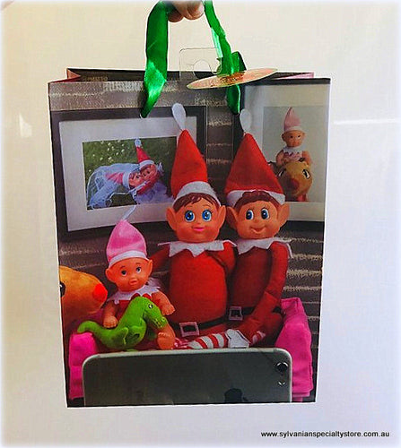 Elf Gift Bag - Selfie picture