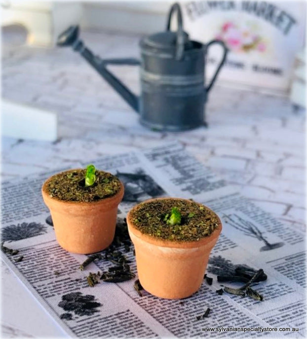 Dollhouse miniature potting seedlings garden shed