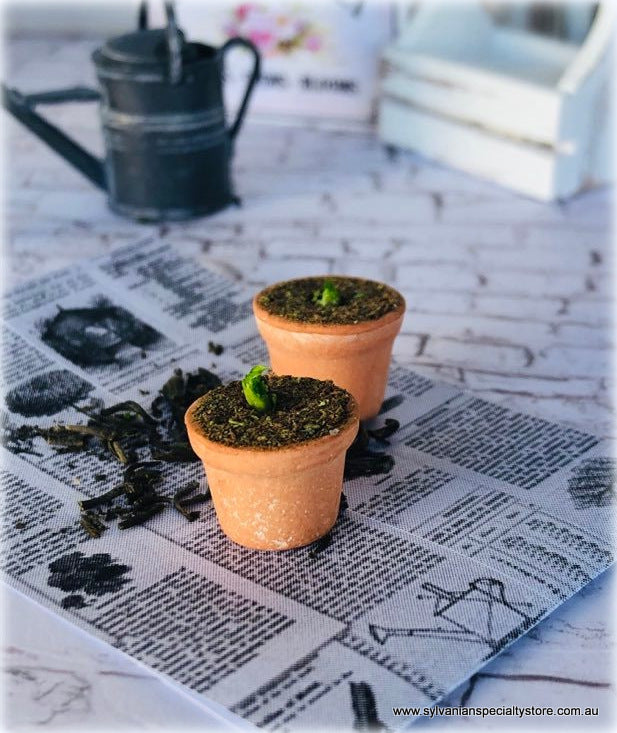 Dollhouse miniature potting seedlings garden shed