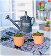 Dollhouse miniature potting seedlings garden shed