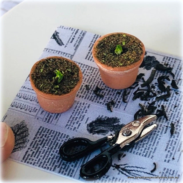 Dollhouse miniature potting seedlings garden shed