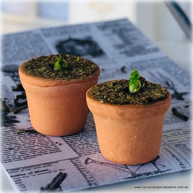 Dollhouse miniature potting seedlings garden shed