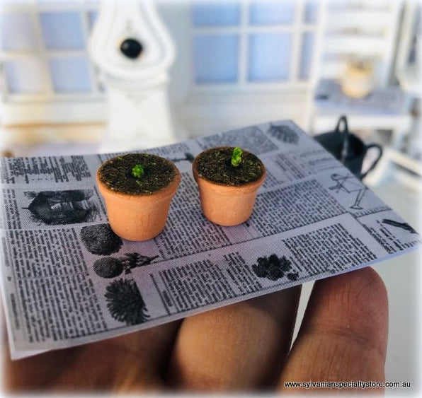 Dollhouse miniature potting seedlings garden shed