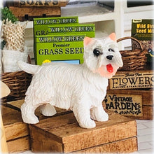 Standing West Highland Terrier - Miniature