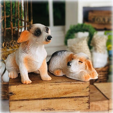 Dollhouse Miniature pair of Jack Russell dogs