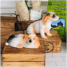 Dollhouse Miniature pair of Jack Russell dogs