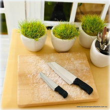 Kitchen Knives - Miniature