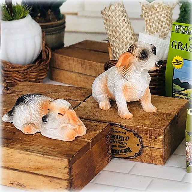Dollhouse Miniature pair of Jack Russell dogs