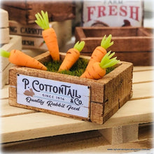 Dollhouse miniature crate P Cottontail easter carrots and grass
