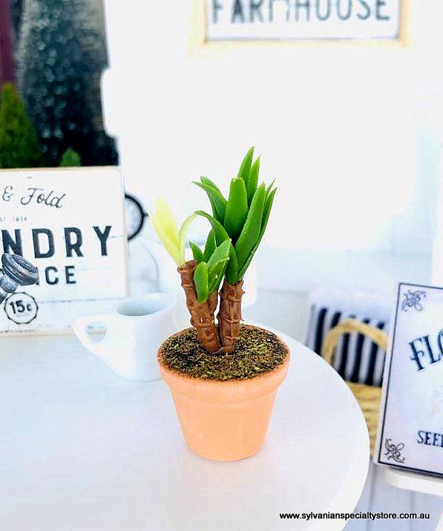 Dollhouse miniature potted plant yukka fern