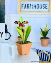 Dollhouse miniature orchid plant
