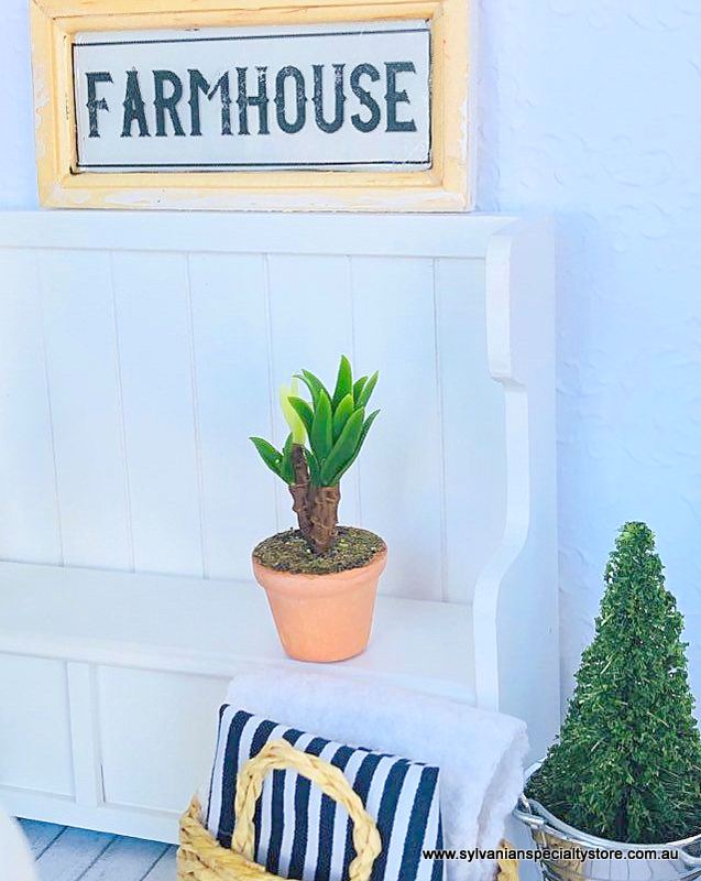 Dollhouse miniature potted plant yukka fern