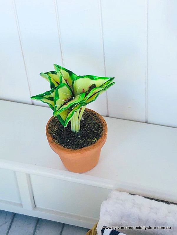 Dollhouse miniature fern Garden accessories modern dollhouse Australia
