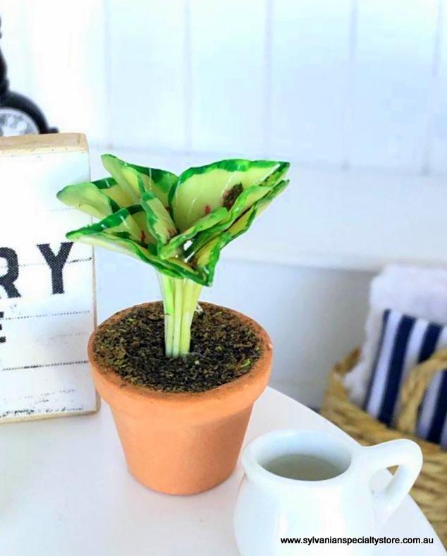 Dollhouse miniature fern Garden accessories