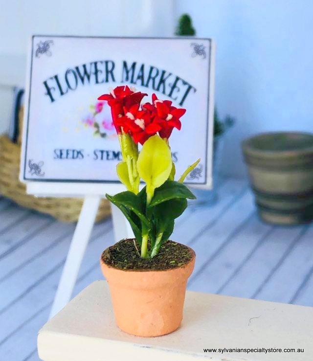 Dollhouse miniature red flowers pot plant garden