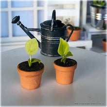 Dollhouse miniature seedlings pots plants gardening