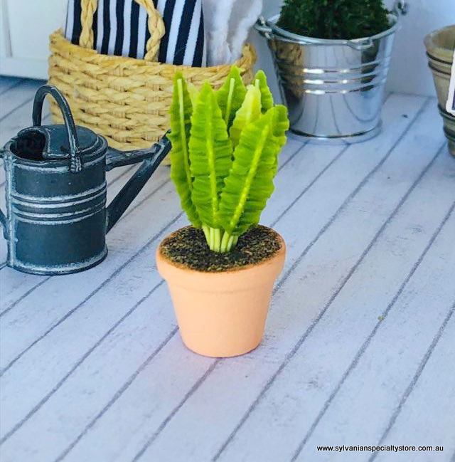 Doll house miniature fern