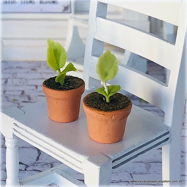 Dollhouse miniature seedlings pots plants gardening