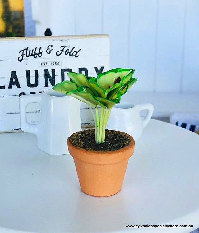 Dollhouse miniature fern Garden accessories