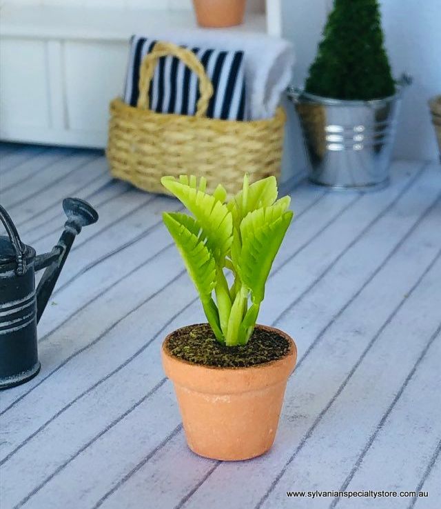 Fern in pot - Green - Miniature