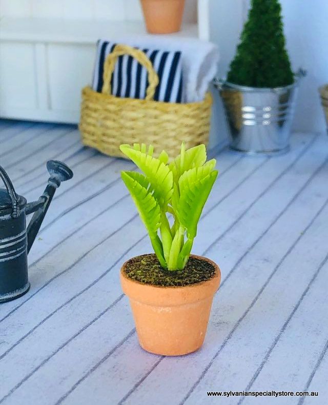 Fern in pot - Green - Miniature