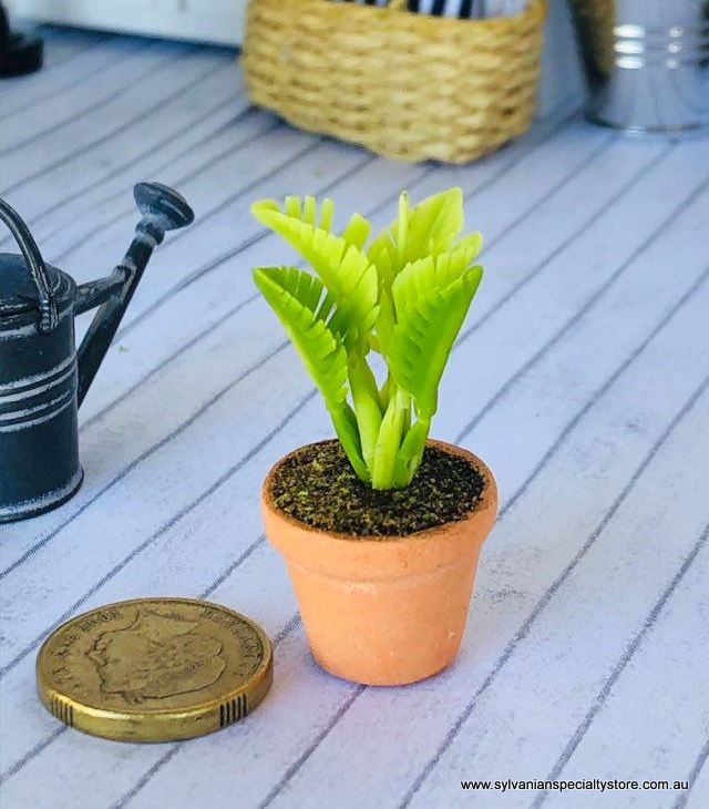 Fern in pot - Green - Miniature