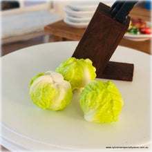 Lettuce Iceberg x 3  - Miniature