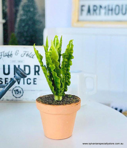 Doll house miniature fern