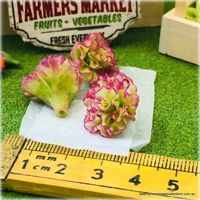 Lettuce - Purple x 3 - Miniature