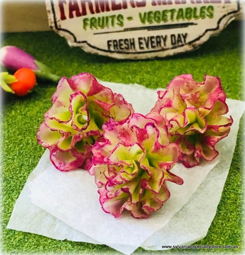 Lettuce - Purple x 3 - Miniature