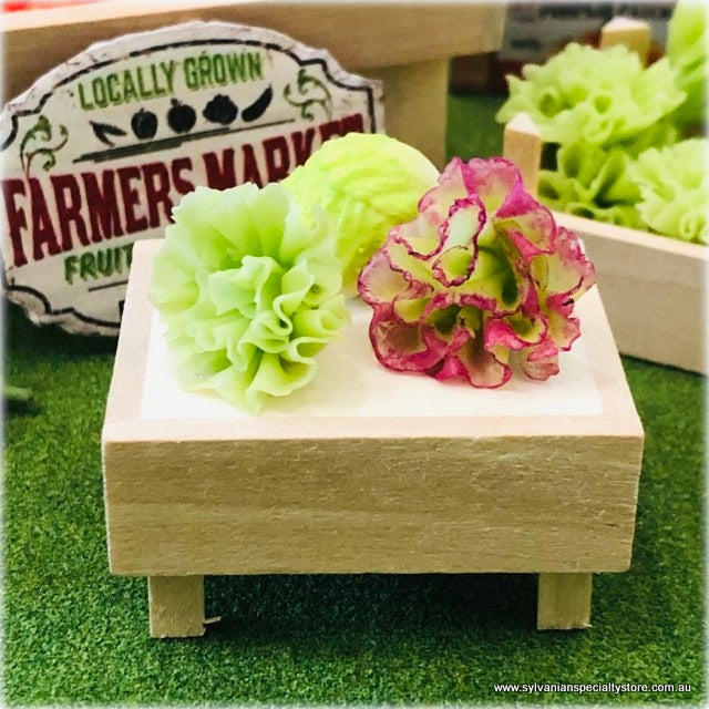 Dollhouse miniature mixed lettuce
