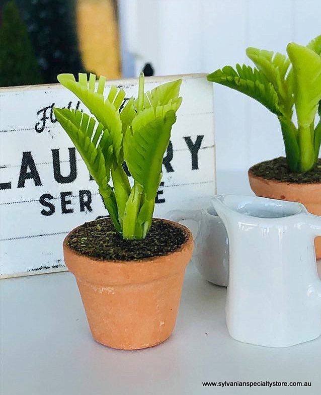 Fern in pot - Green - Miniature
