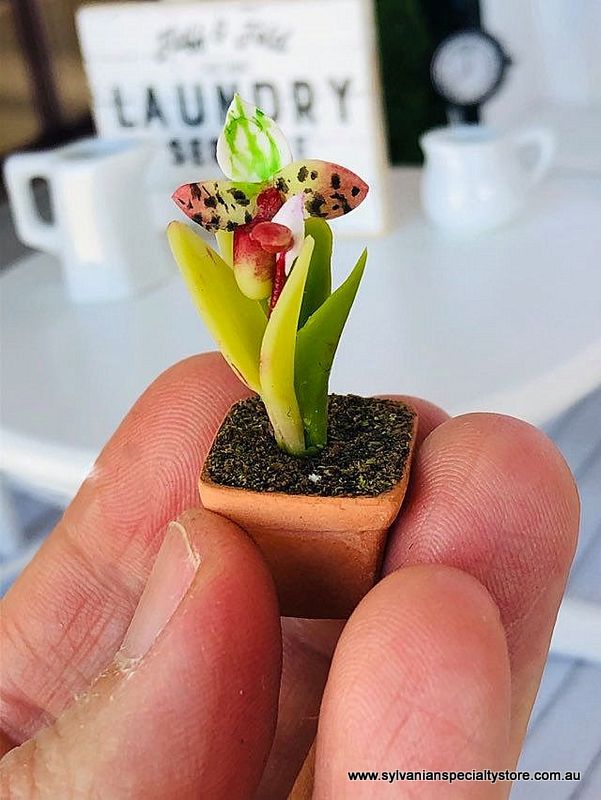 Orchid in pot - Red/Green/Spotted - Miniature