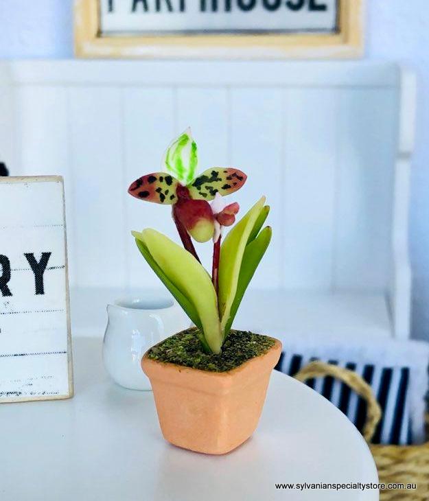 Dollhouse miniature orchid plant green house