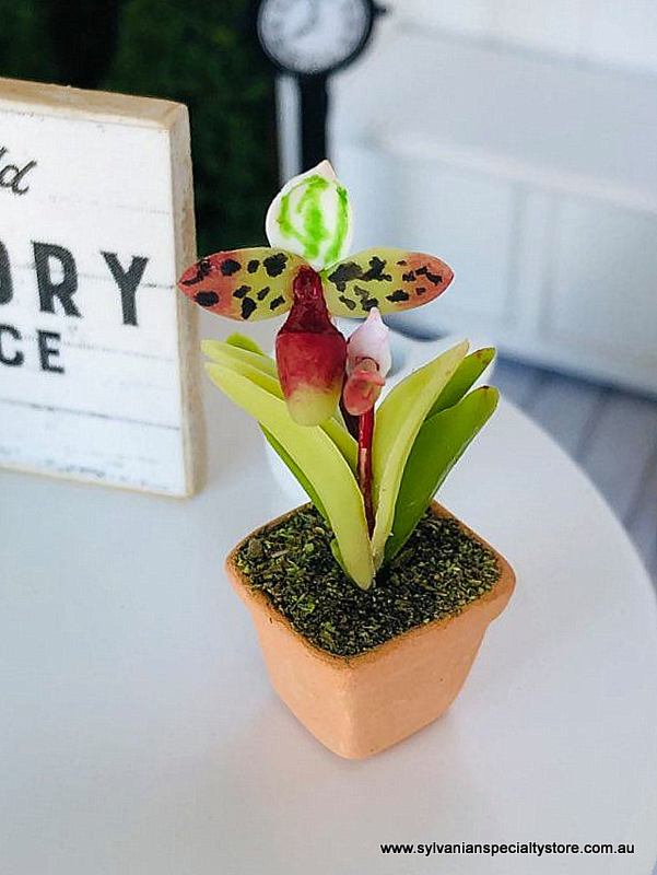 Dollhouse miniature orchid plant