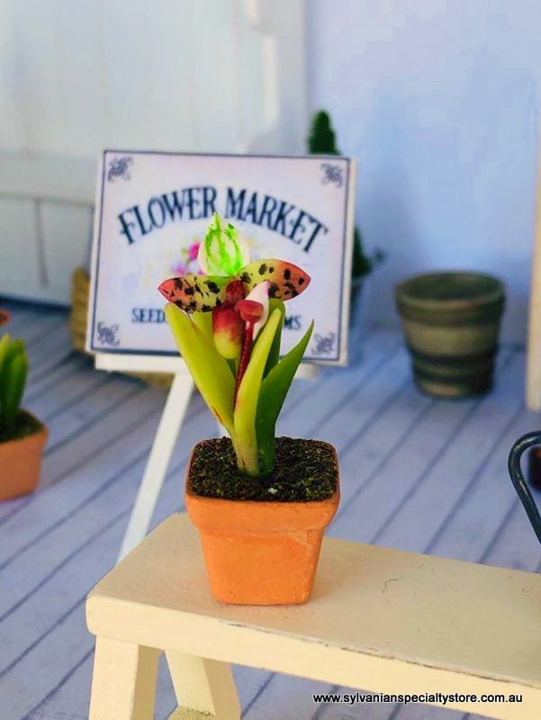 Dollhouse flower market orchids