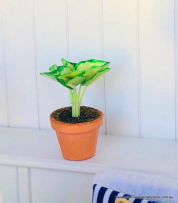 Fern in pot - Green/Red - Miniature